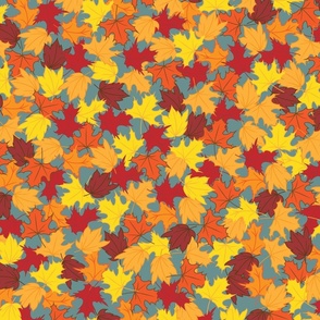 Autumn Maple Leaves of Reds, Oranges, and Yellows Fall Scattered on a Teal Background