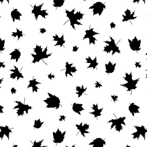 Maples Leaves Silhouetted in Black Scattered on a White Background