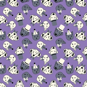 fancy cats and dogs purple