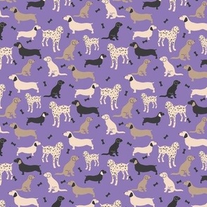 cute dogs mid LAVENDER