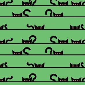 halloween black cat stripe on green