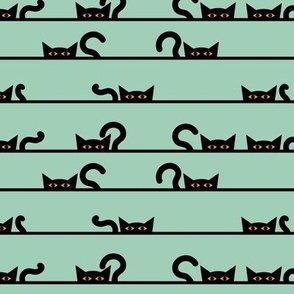 halloween black cat stripe on mint