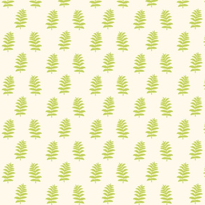 Fern wall paper !