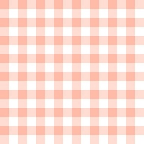 Gingham light pastel peach half inch vichy checks, plaid, cottagecore, traditional, country, white