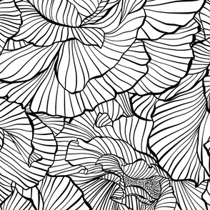 Black Outline Line Art Flowers Blossom