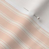 Garden Stripes - Blush (Small)