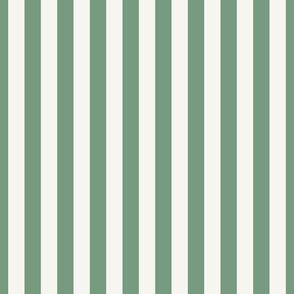 Webster Green and Cream2 Cabana Boy Stripe 