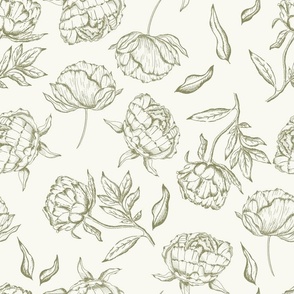 Vintage Modern Peony Sketch in Medium Moss Green and Ivory.
