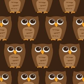 Small Wise Brown Owl