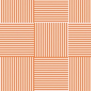 Modern Geometric Woven Stripes Design in Red and Pink Trellis