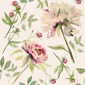 Medium Vintage Pink Peony Flower on Cream / Watercolor