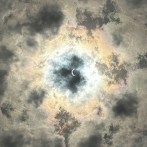 Delphia’s Eclipse 1 Yard panel