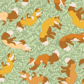 Orange and Yellow Foxes on Green Fern Background (am24-a3) 