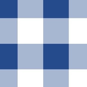 Blue and White Gingham 