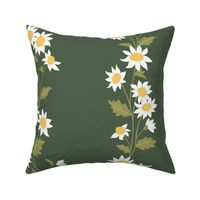 Summer Flower Blossom Garden White Patal Daisies on Green Background