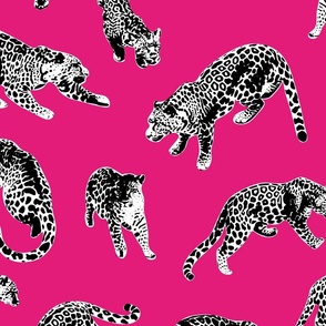 Neon pink with White and black Leopards with hot pink background