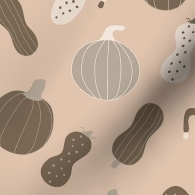 pumpkin patch, gourd, homestead, cozy autumn, squash, light brown background (medium)
