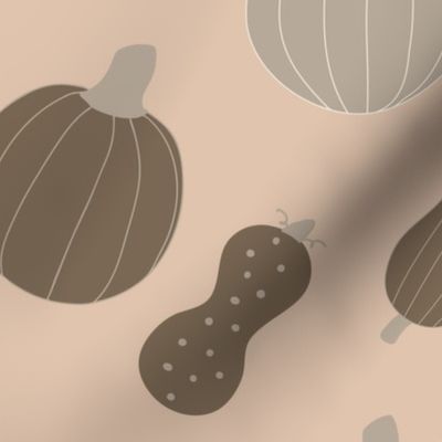 pumpkin patch, gourd, homestead, cozy autumn, squash, light brown background (large)