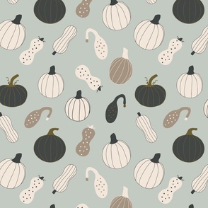 pumpkin, gourd, homestead, cozy fall, autumnal, squash, muted green background (medium)