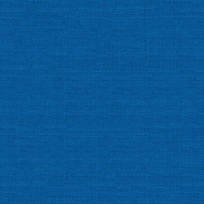 vibrant american blue textured blender