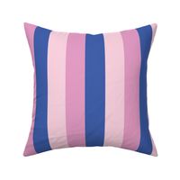 Small - 2" wide Awning Stripes - Blush Pink - Bubble Gum - Denim