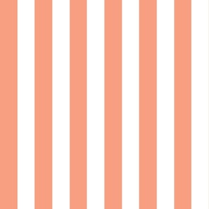 Small - 2" wide Awning Stripes - Pastel Salmon Pink - White