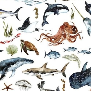 Deep Sea Adventures - Ocean Animals