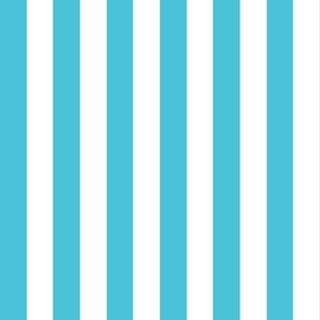 Small - 2" wide Awning Stripes - Bright Baby Blue - White