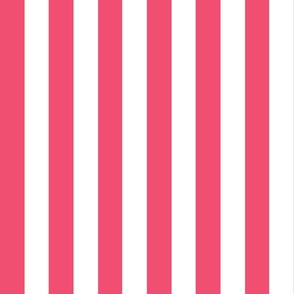 Small - 2" wide Awning Stripes - Bright Hot Pink - White
