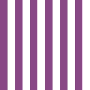 Small - 2" wide Awning Stripes - Bright Plum Purple - White