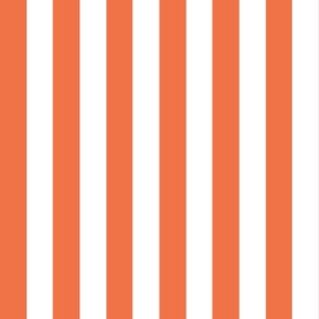 Small - 2" wide Awning Stripes - Bright Tangerine Orange - White