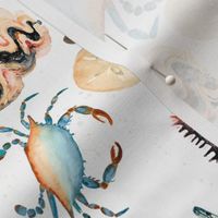 Large Sea Crustaceans / Vintage Coastal / Watercolor / Crab