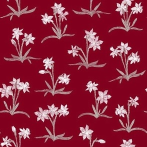 tiny Christmas narcissus on solid burgundy red (81001E)