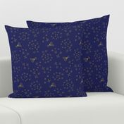 'Cosmic Stars' on Navy