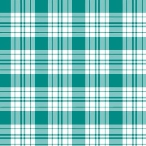 FS Teal Blue and White Check Plaid 