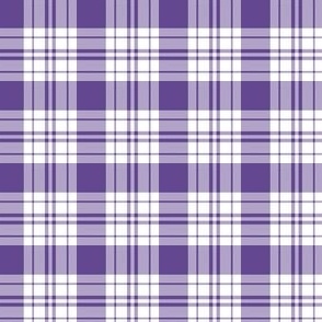 FS Ultra Violet and White Check Plaid 