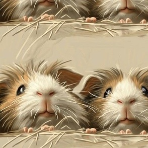 Cute, Fluffy Guinea Pigs Peeping Out