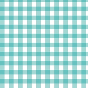 Gingham in Teal to Match By_Ramona's Teardrop Flowers Collection