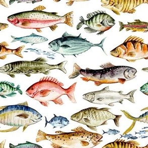 Watercolor Fish