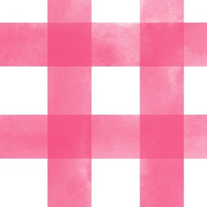 (L) Watercolor Gingham Plaid in Pink