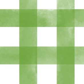 (L) Watercolor Gingham Plaid in Green