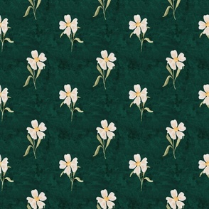 Simple rustic floral on dark green - white watercolor daisy