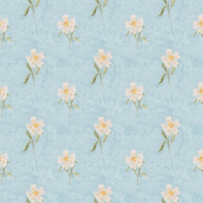 Simple rustic floral on polar sky blue - white watercolor daisy