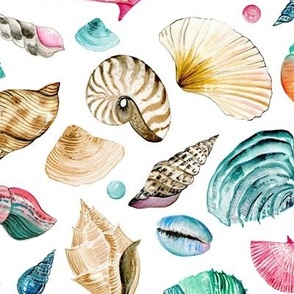 Large / Coastal Sea Shells and Pearls