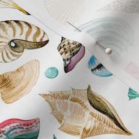 Coastal Sea Shells and Pearls