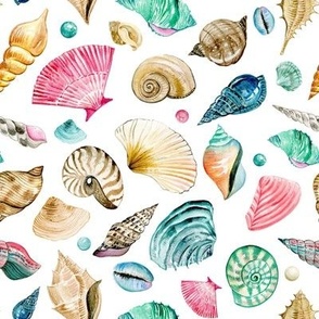 Coastal Sea Shells and Pearls