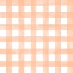 (S) Watercolor Gingham Plaid in Peach Fuzz