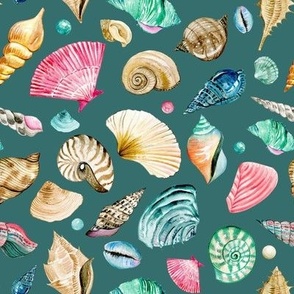 Coastal Sea Shells and Pearls / Teal