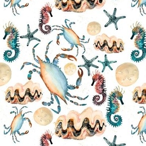 Medium Ocean Animals / Crustaceans / Watercolor