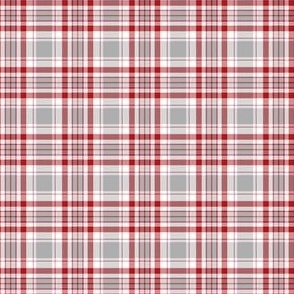 FS Silver, Cherry Red and White Plaid Small